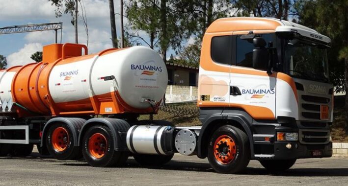 Grupo BAUMINAS